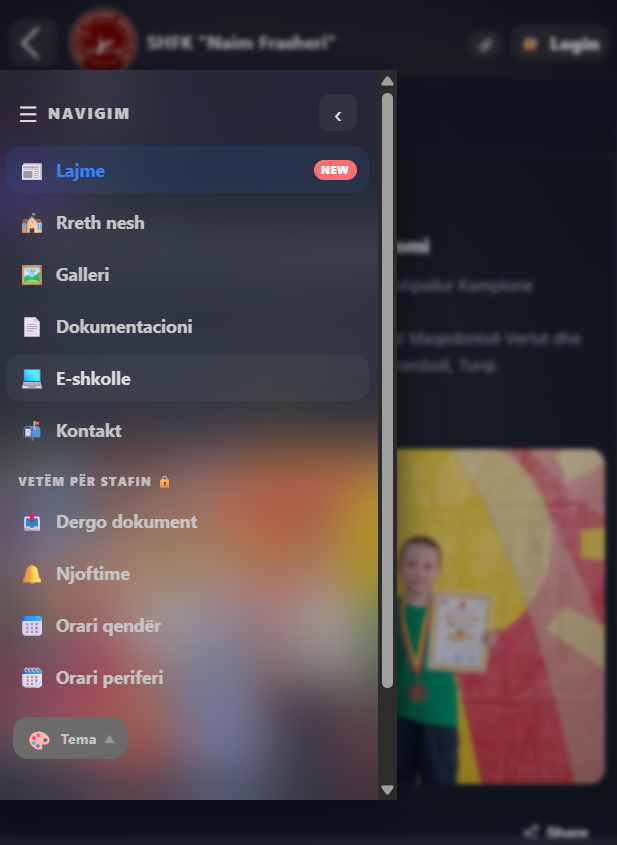 Mobile Navigation